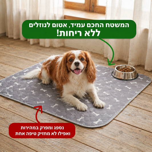המשטח החכם של טראקסי