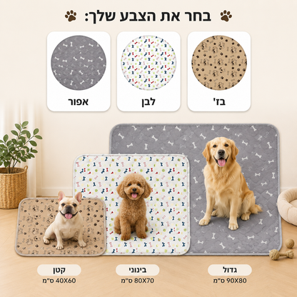 המשטח החכם של טראקסי